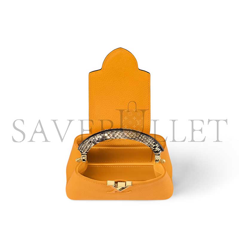 LOUIS VUITTON CAPUCINES MINI N81410 (21*14*6cm) 